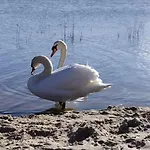 Holiday home Szary Domek Nad Jeziorem 2 Sea & Lake *