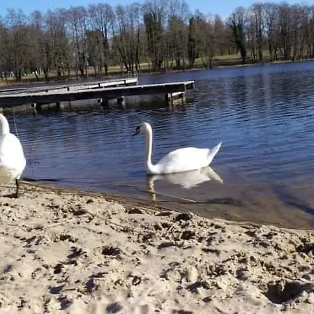 Sea & Lake Szary Domek 2 *