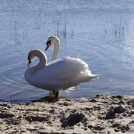 Tatil Evi Sea & Lake Szary Domek 2 *