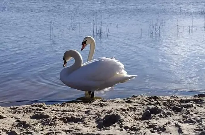 Сasa de vacaciones Szary Ii Sea & *